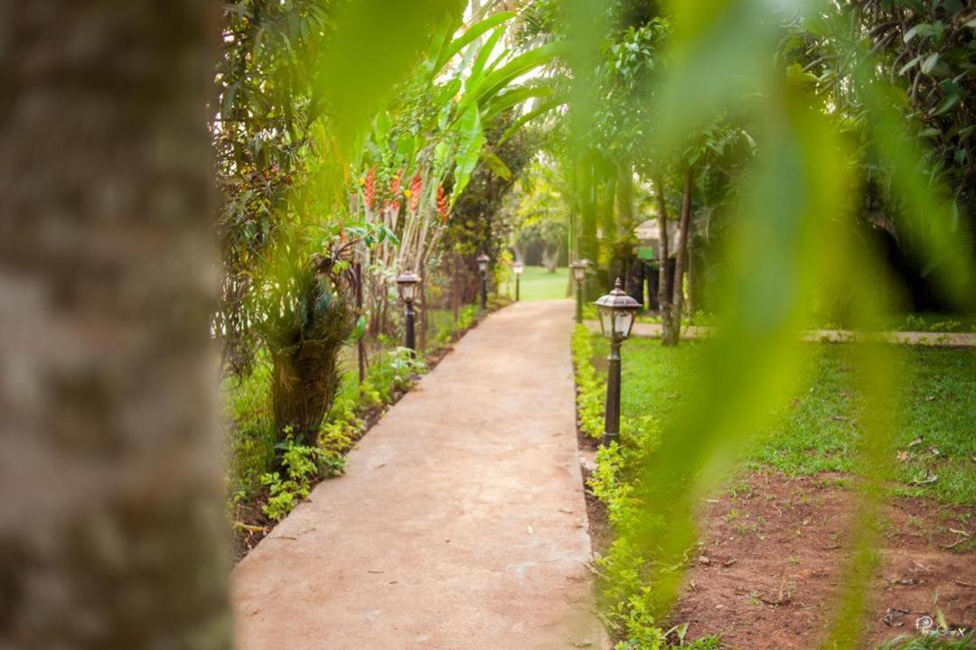 Village Noah Yaounde Ngoại thất bức ảnh